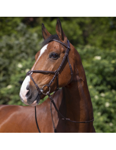 Bridon Riding World Muserolle Croisée Noir 2