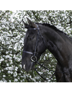 Bridon Riding World Muserolle Française Noir