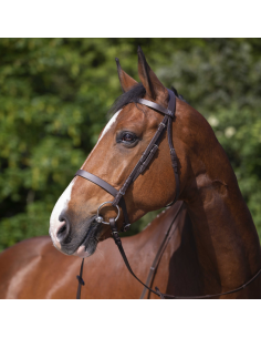 Bridon Riding World Muserolle Française Noir 2