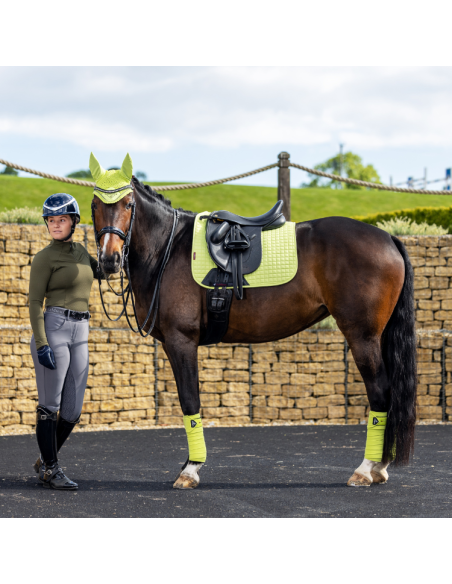 Bandes De Polo LeMieux Classic Kiwi