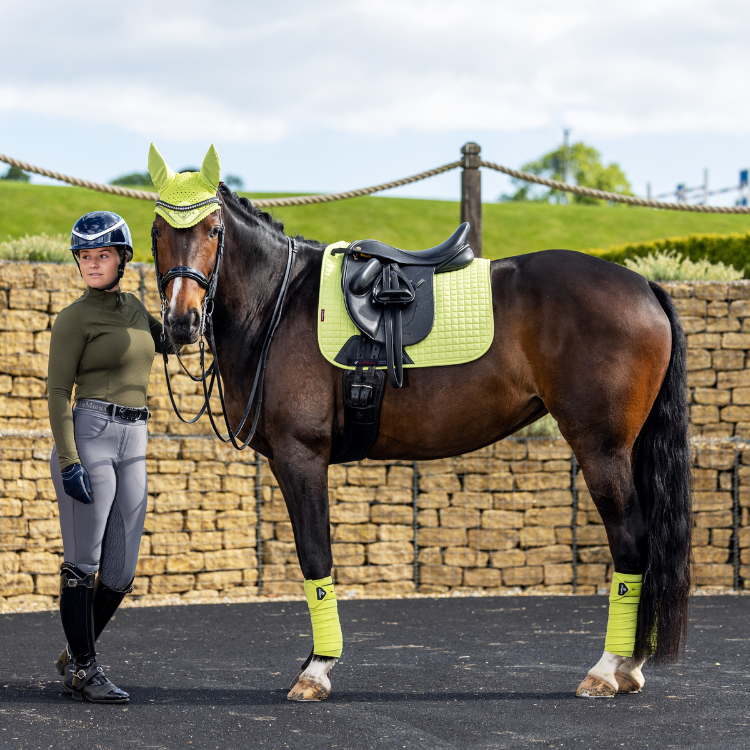 Bandes De Polo LeMieux Classic Kiwi