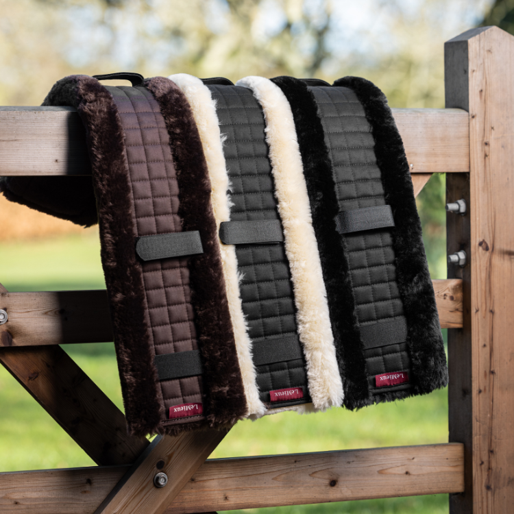 Doublure Amovible De Sangle LeMieux GP