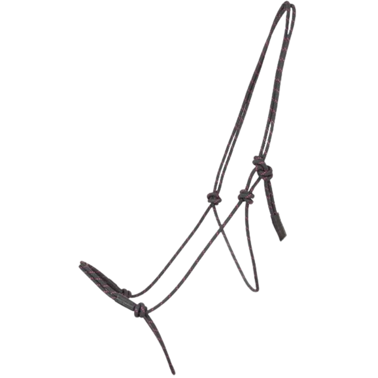 Licol Éthologique TdeT Pro Noir/fuchsia