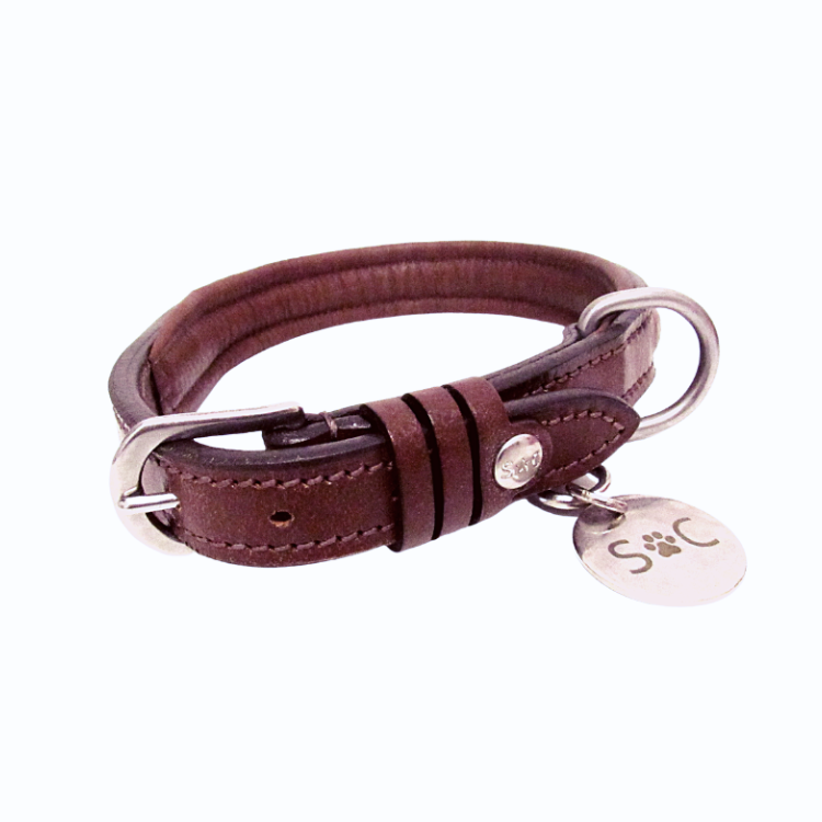 Collier Pour Chien Silver Crown Jo COGNAC