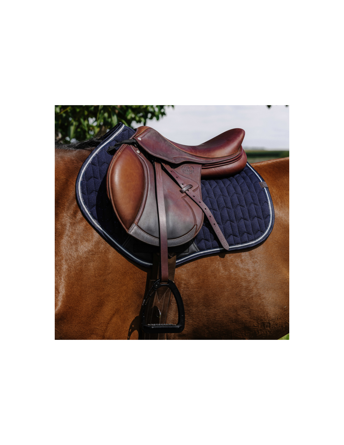 Tapis De Selle Equithème - Pro Forme - Couleur Chocolat - Matelassé, Respirant - Pour Cheval - Lavable Machine