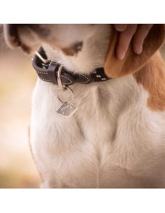Penelope Billie Dog Collar Black 2