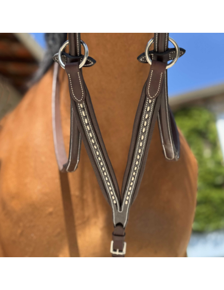 Flèche De Martingale Pénélope Point Sellier Havane