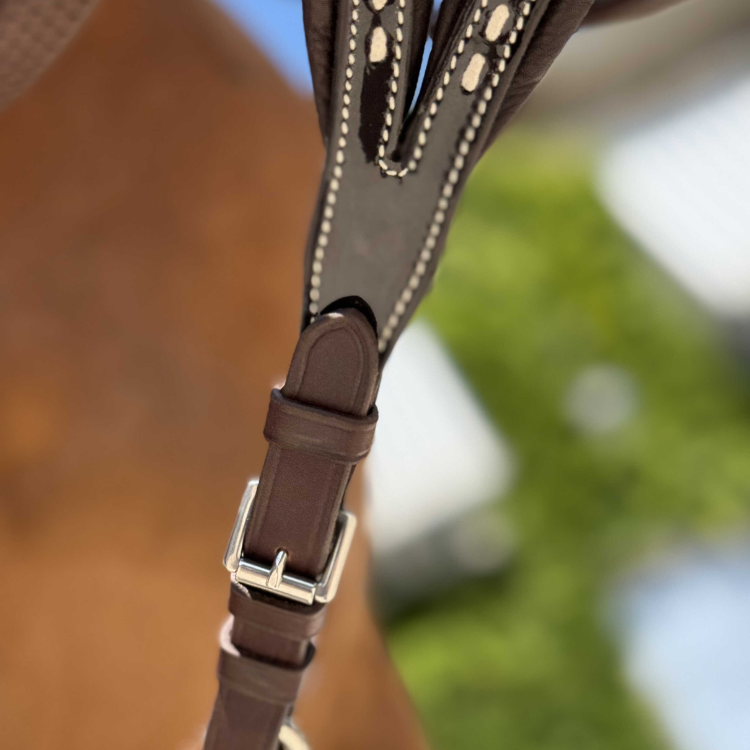 Flèche De Martingale Pénélope Point Sellier Havane