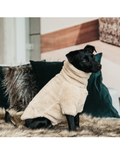 Pull Pour Chien Kentucky Teddy Fleece 2