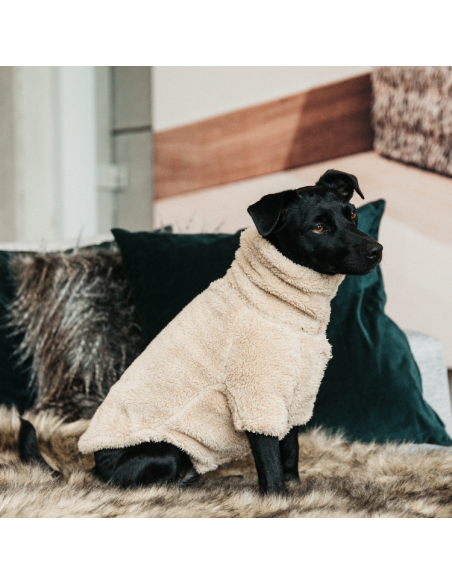 Pull Pour Chien Kentucky Teddy Fleece BEIGE