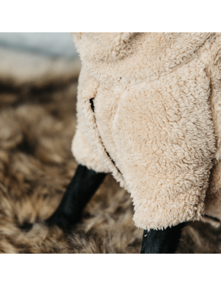 Pull Pour Chien Kentucky Teddy Fleece BEIGE