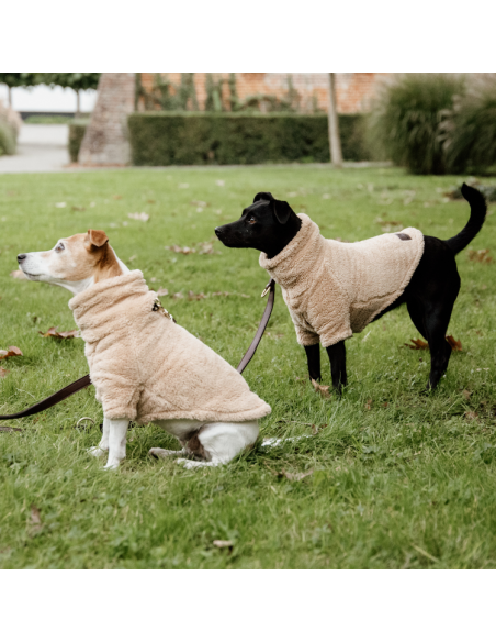 Pull Pour Chien Kentucky Teddy Fleece BEIGE