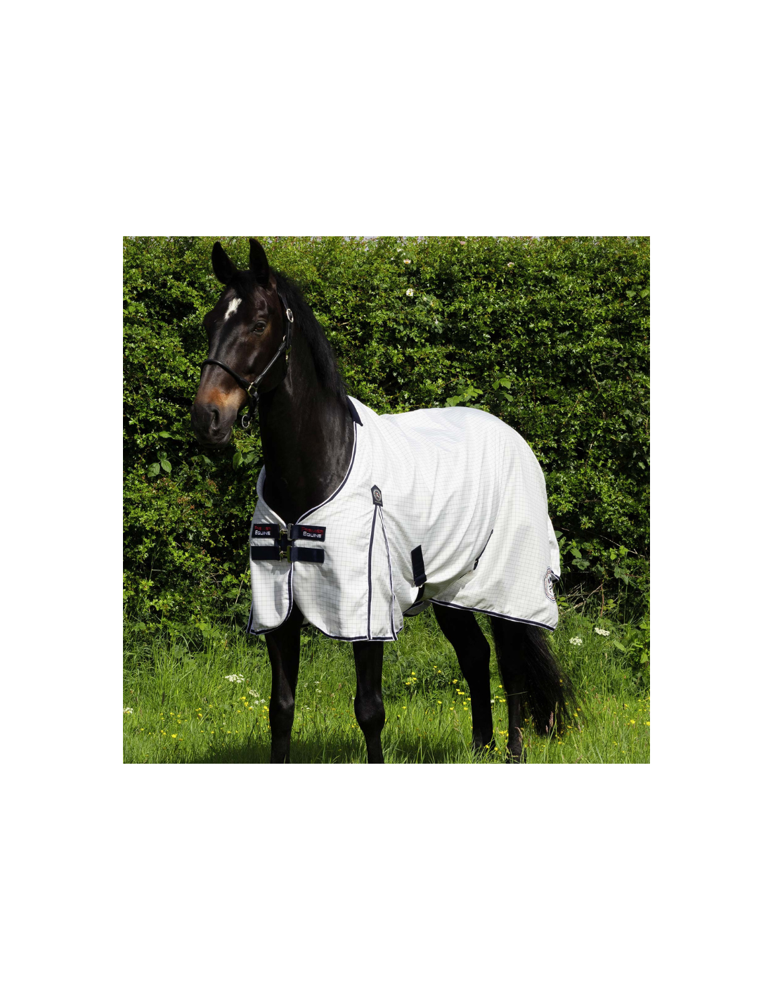 Couverture D'écurie Premier Equine Tuscan 100g