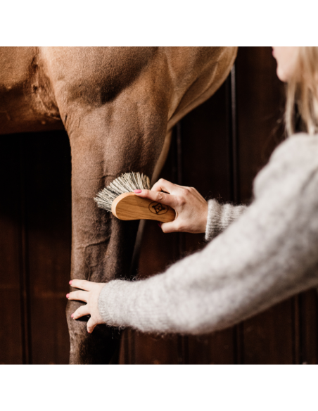 Bouchon Grooming Deluxe Dur