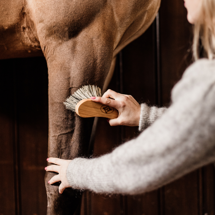 Bouchon Grooming Deluxe Dur