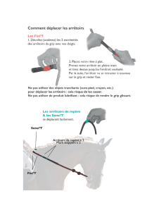 Rênes IHWT Adjust Howlett 2