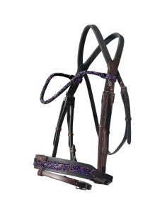 IHWT Evolution Contact Disco Bridle 2