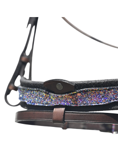 IHWT Evolution Contact Disco Bridle 2