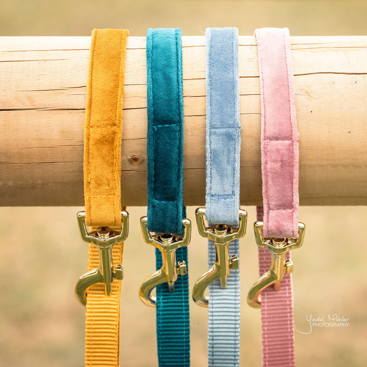 Laisse Kentucky Velvet 120cm