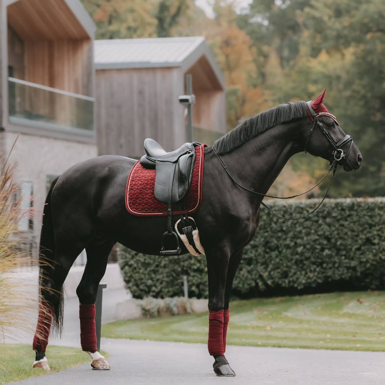 Tapis De Selle Kentucky Velvet Dressage Bordeaux