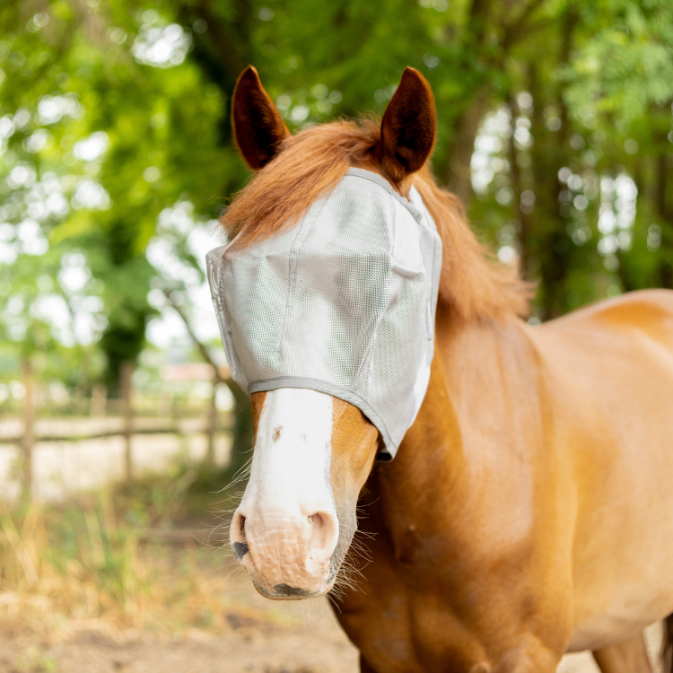 Masque Anti-Mouches Horseware Amigo Argent/gris/argent