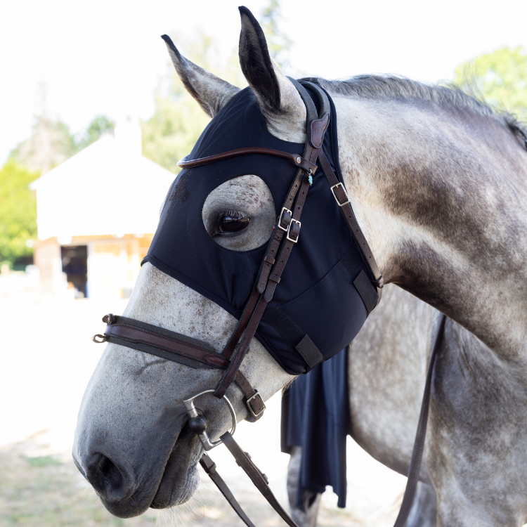 Masque Fenwick En Titane Liquide À Velcros Sans Oreilles Noir