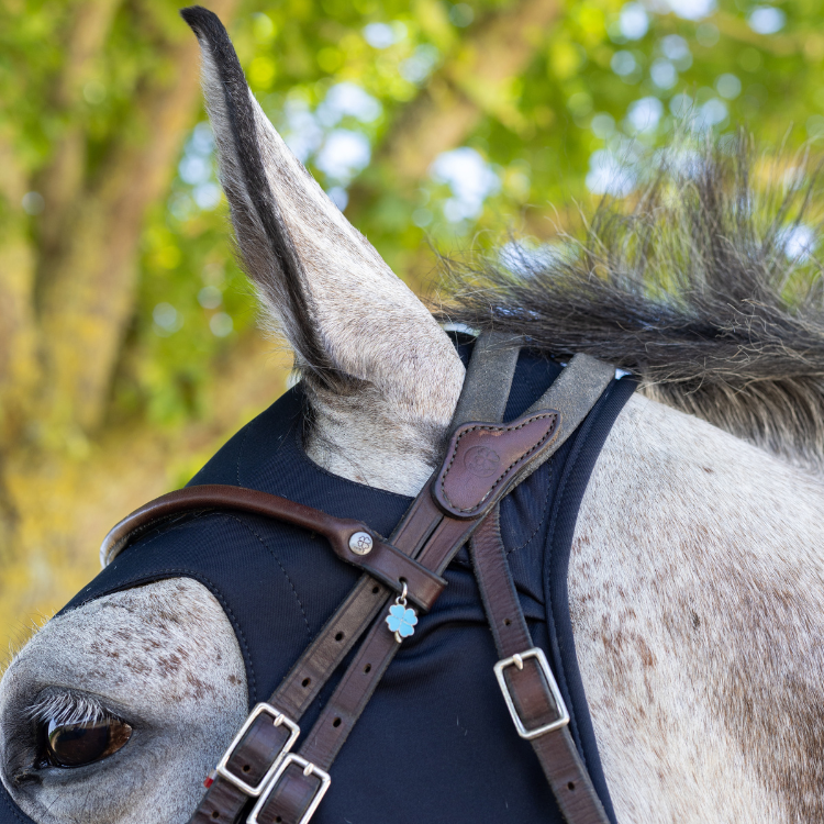 Masque Fenwick En Titane Liquide À Velcros Sans Oreilles Noir