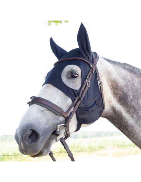 Masque Fenwick Titane Liquide À Mousquetons Avec Oreilles Noir