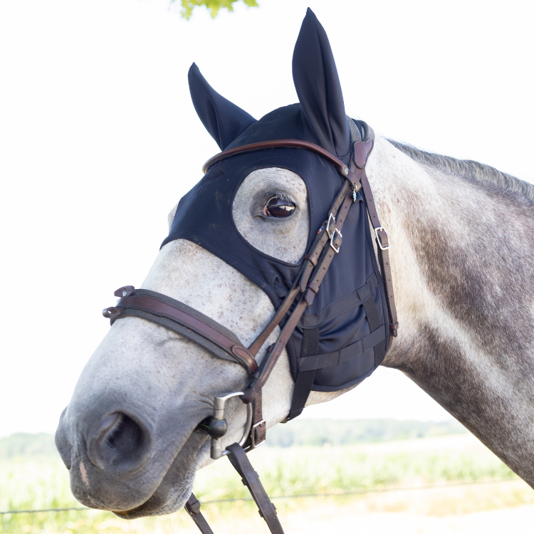 Masque Fenwick Titane Liquide À Mousquetons Avec Oreilles Noir