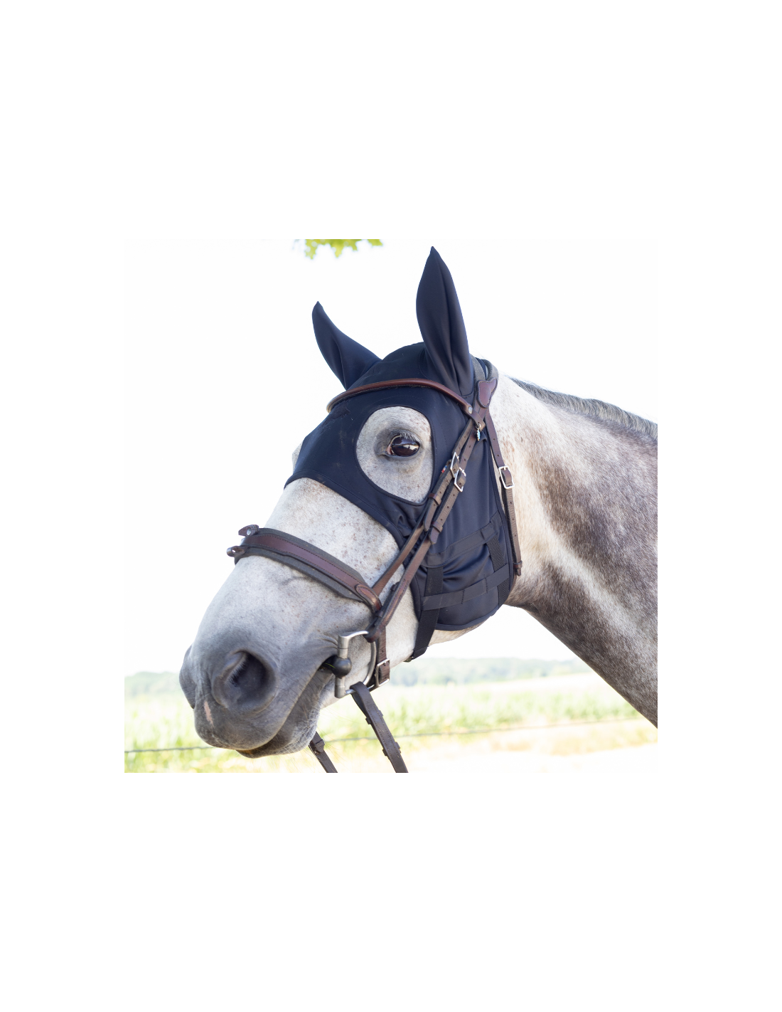 Masque Fenwick Titane Liquide À Mousquetons Avec Oreilles | Bonnets cheval