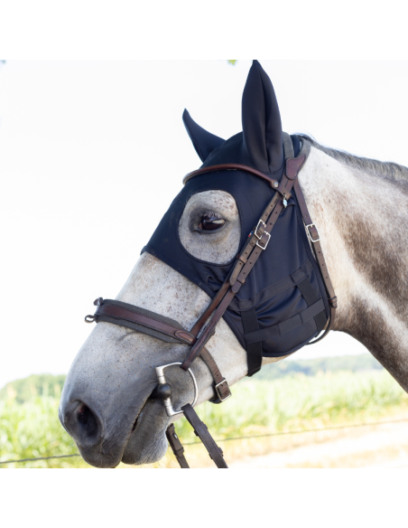 Masque Fenwick Titane Liquide À Mousquetons Avec Oreilles Noir