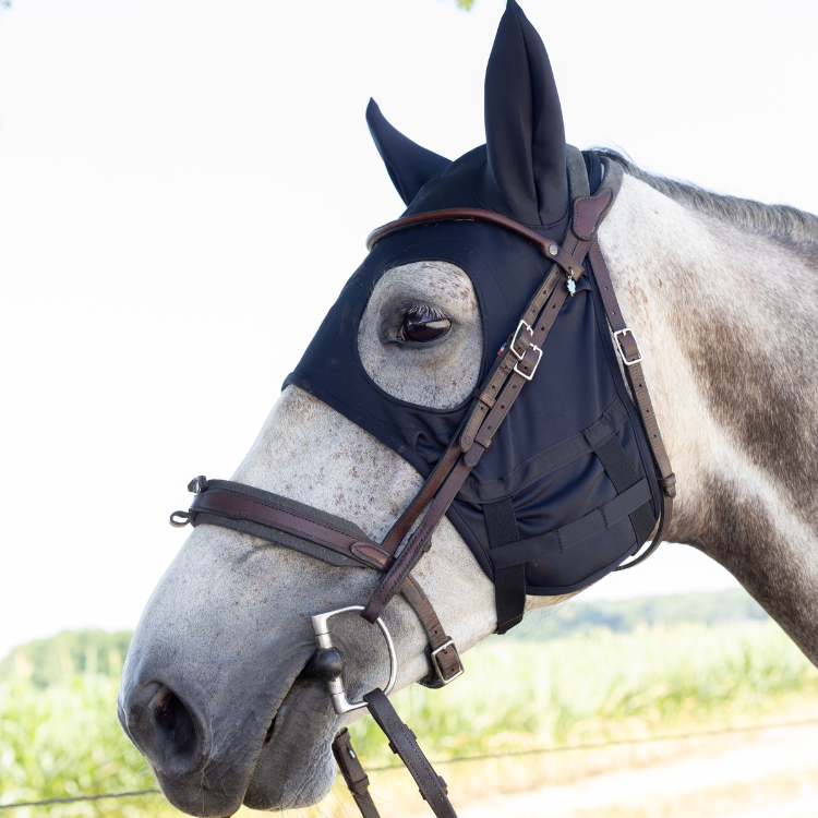 Masque Fenwick Titane Liquide À Mousquetons Avec Oreilles Noir