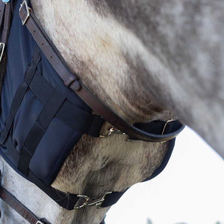 Masque Fenwick Titane Liquide À Mousquetons Avec Oreilles Noir