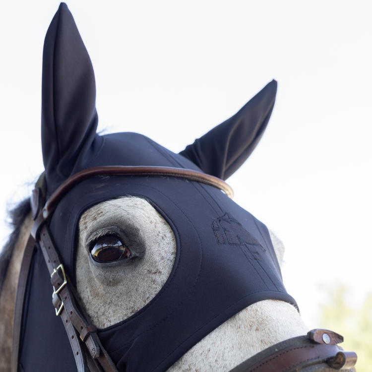 Masque Fenwick Titane Liquide À Mousquetons Avec Oreilles Noir