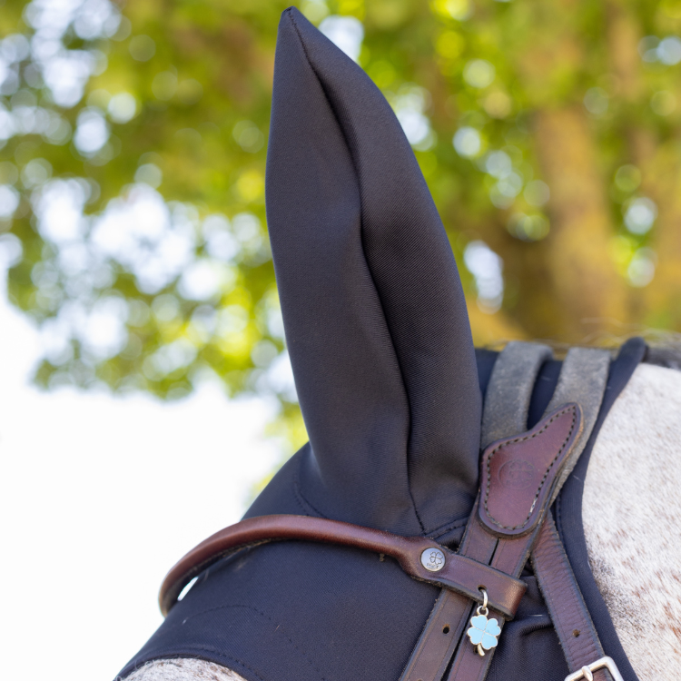 Masque Fenwick Titane Liquide À Mousquetons Avec Oreilles Noir