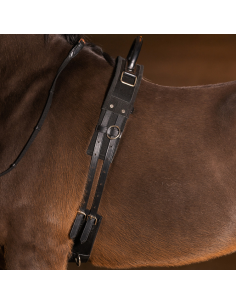 Surfaix Imperial Riding Vito Noir 2