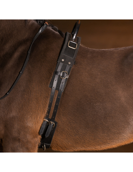 Surfaix De Voltige Imperial Riding Vito