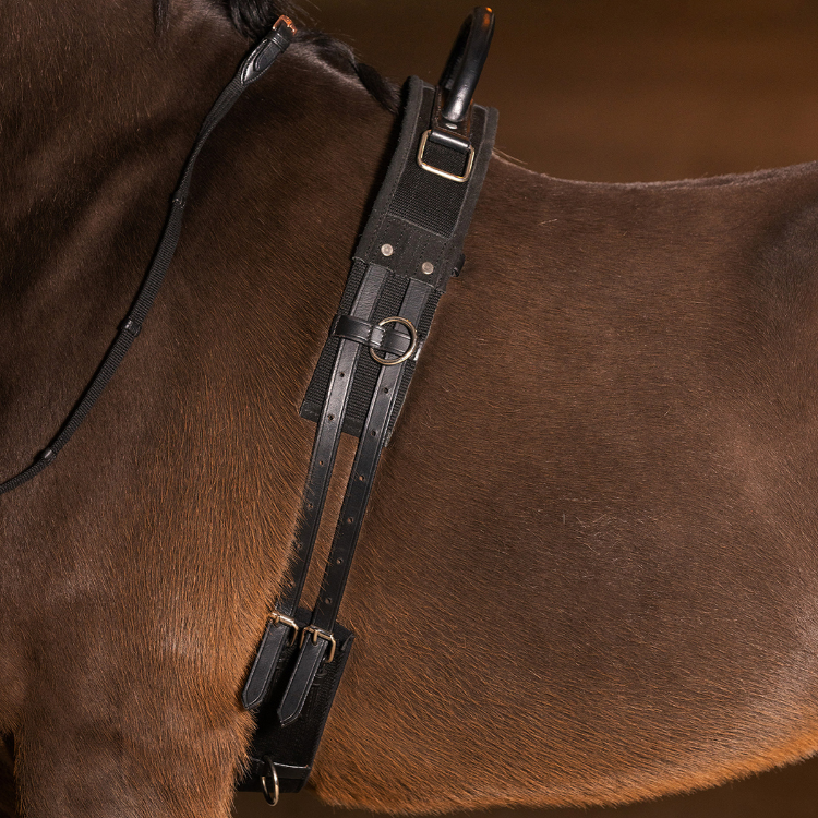 Surfaix De Voltige Imperial Riding Vito