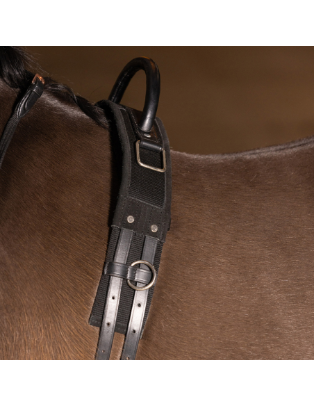 Surfaix Imperial Riding Vito Noir