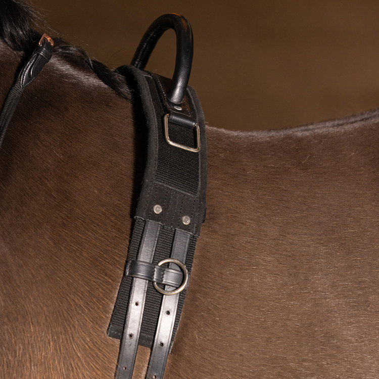 Surfaix Imperial Riding Vito Noir