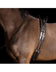 Surfaix De Voltige Imperial Riding Vidal Noir 2