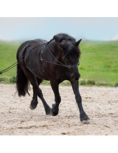 Longues Rênes Imperial Riding Free Ride Noir 2