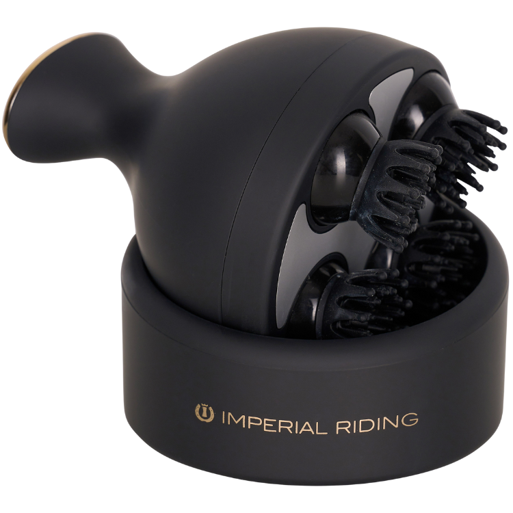 Brosse Imperial Riding Grooming & Relaxation Noir