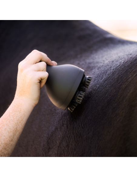 Brosse Imperial Riding Grooming & Relaxation Noir