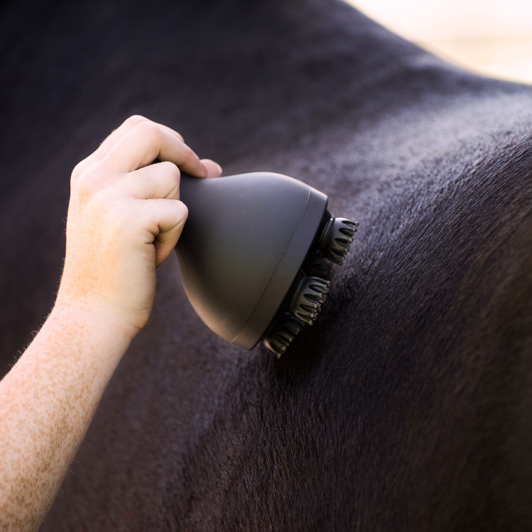 Brosse Imperial Riding Grooming & Relaxation Noir