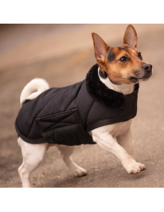 Diagonal Paddock Dog Rug Black 2