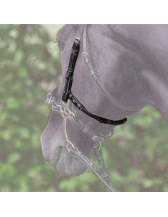 Montants Et Lanière Jump'In Week Pour Hackamore Noir