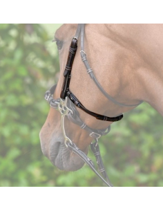 Jump'In Week Uppers And Straps For Hackamore Black 2