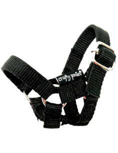Crafty Ponies Toy Headcollar