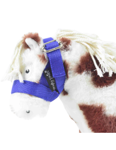 Crafty Ponies Foal Halter 2